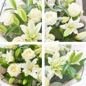 Beautifully simple white rose and white lily bouquet Code: SIWRLHT1  | National delivery and local delivery or collect from shop